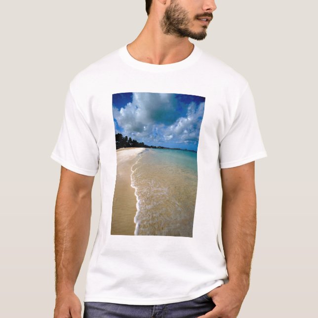 Karibik, Leeward Islands, Antigua, Dickenson T-Shirt (Vorderseite)
