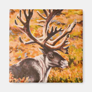 Karibik Magnet