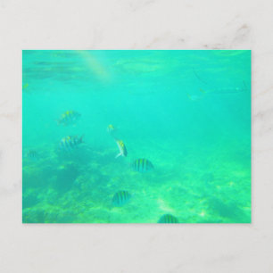 KARIBIK POSTKARTE 14