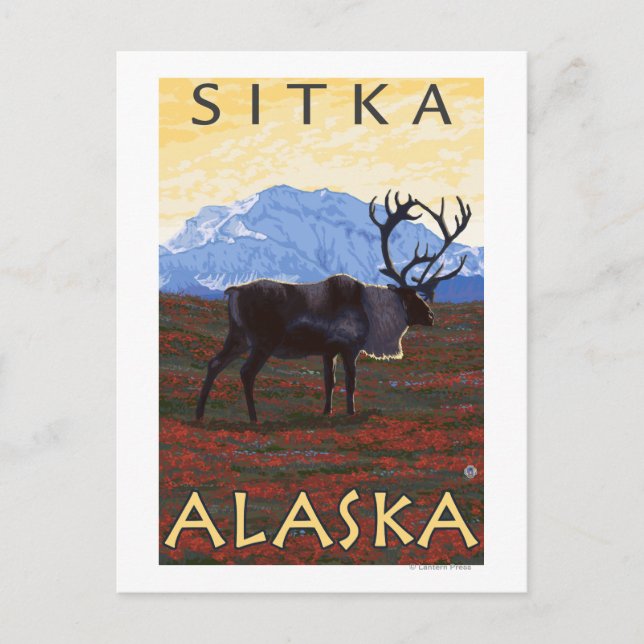 Karibik - Sitka, Alaska Postkarte (Vorderseite)