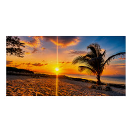 Karibik-Sonnenuntergang-Palme Glänzendes Poster