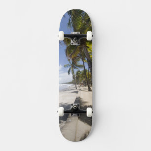 Karibik - Trinidad - Manzanilla Beach an Skateboard
