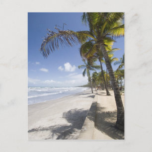 Karibik - Trinidad - Manzanilla Beach auf Postkarte