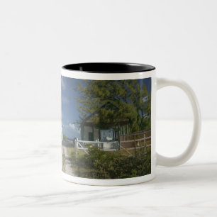 Karibik, TURKS & CAICOS, Grand Turk Island, 3 Zweifarbige Tasse