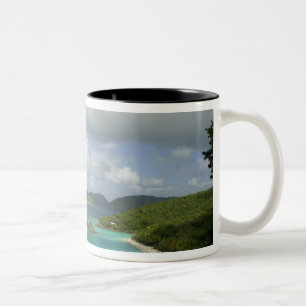 Karibik, U.S. Jungfrau Islands, St. John, Trunk 3 Zweifarbige Tasse