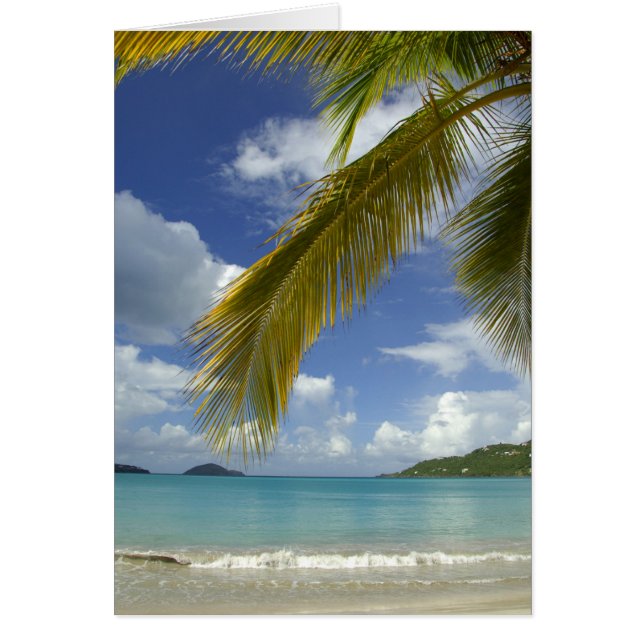 Karibik, U.S. Jungfrau Islands, St.Thomas, (Vorne)