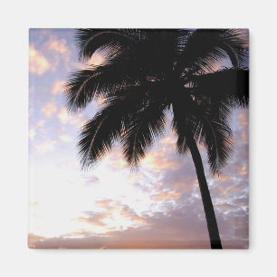 Karibik, U.S. Jungfrau Islands, St.Thomas, 3 Magnet