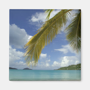 Karibik, U.S. Jungfrau Islands, St.Thomas, Magnet