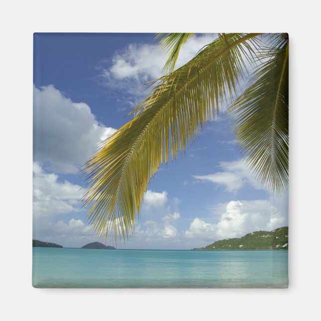 Karibik, U.S. Jungfrau Islands, St.Thomas, Magnet (Vorne)