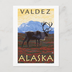 Karibik - Valdez, Alaska Postkarte