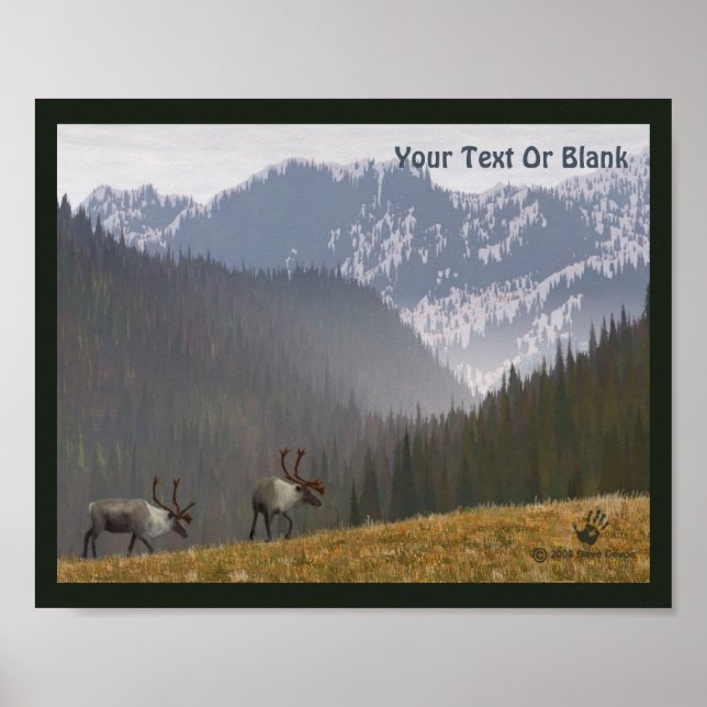 Karibik Zwei Poster (Vorne)