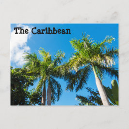Karibische Bäume Postkarte