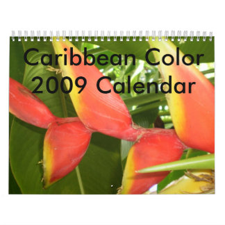 Karibische Farbe… der Blumen-Kalender 2009 Kalender