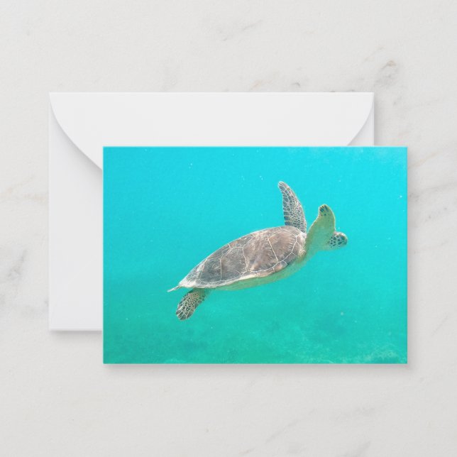 Karibische Schildkröte Mitteilungskarte (Vorderseite)