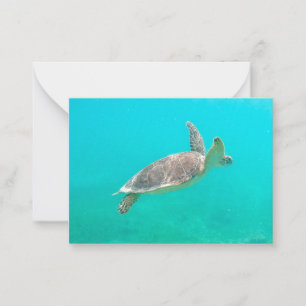 Karibische Schildkröte Mitteilungskarte