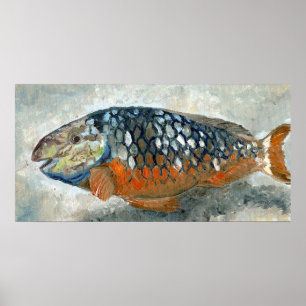 Karibischer Fisch Orange und Blau Poster