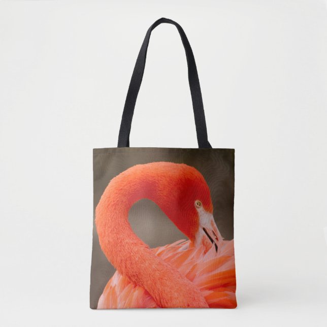 karibischer Flamingo (Vorderseite)