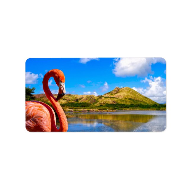 Karibischer Flamingo in St. Kitts Adressaufkleber (Vorne)