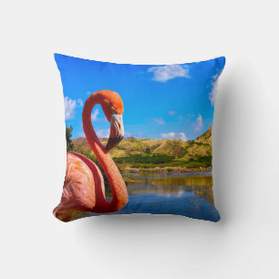 Karibischer Flamingo in St. Kitts Kissen