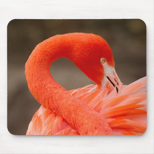 karibischer Flamingo Mousepad (Vorne)