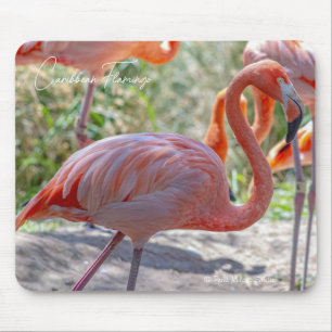 Karibischer Flamingo Mousepad
