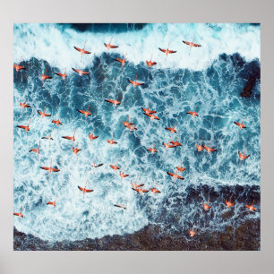 Karibischer Flamingos: Die Fluchtszene der Natur Poster