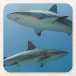 Karibischer Riff-Haifisch Rechteckiger Pappuntersetzer