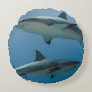 Karibischer Riffhai Rundes Kissen