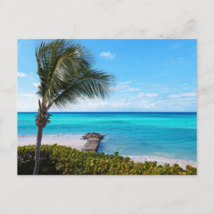 Karibischer Strand Postkarte
