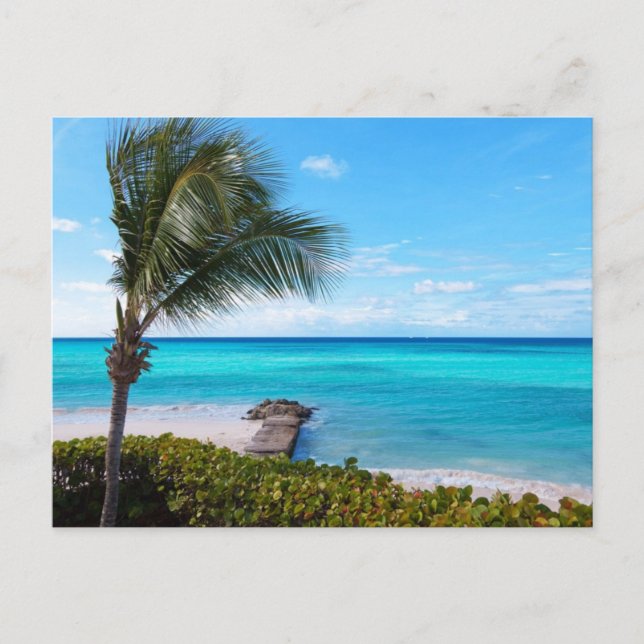Karibischer Strand Postkarte (Vorderseite)