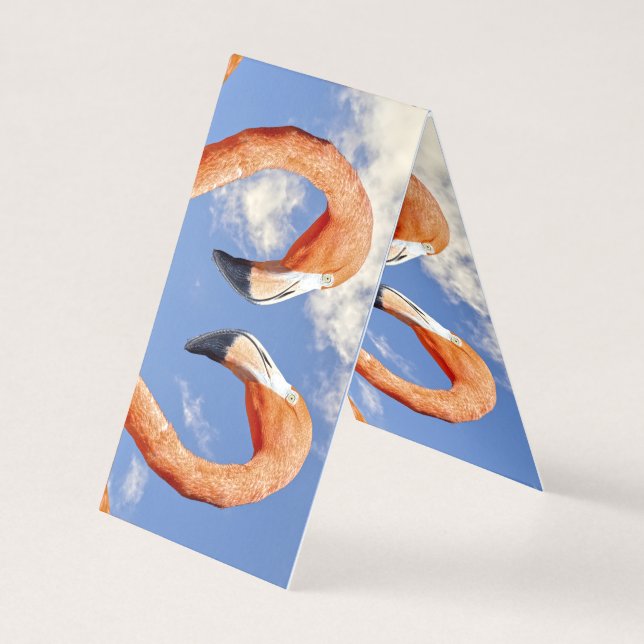 Karibisches Flamingo-Liebe (Vorderseite)