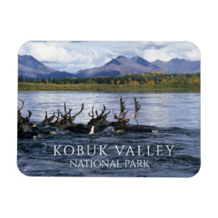 Karibou Crossing Kobuk River, Kobuk Valley Magnet