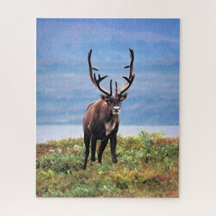 Karibu oder Rentier Denali-Nationalpark, Alaska Puzzle
