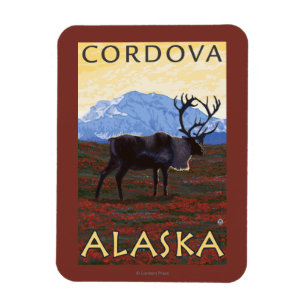 Karibu-Szene - Cordova, Alaska Magnet