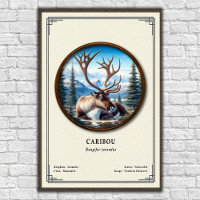 Karibu-Zoologie-Serie