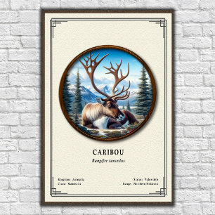 Karibu-Zoologie-Serie Poster