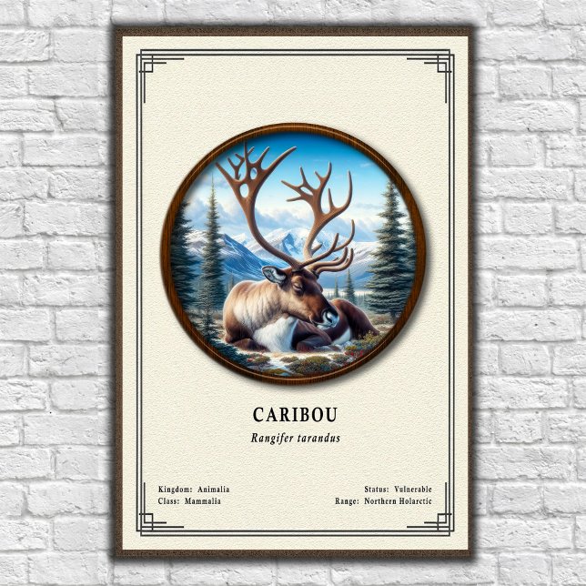 Karibu-Zoologie-Serie Poster (Von Creator hochgeladen)