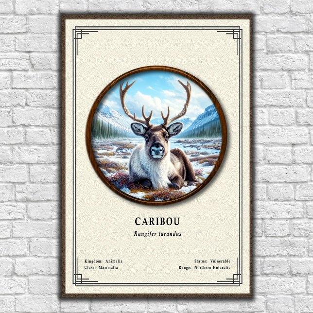 Karibu-Zoologie-Serie Poster (Von Creator hochgeladen)