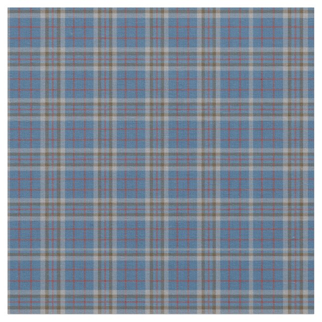 Kariert Clan Thompson Tartan Gray Blue Karo Stoff (Nahaufnahme)