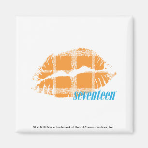 Kariert Orange Magnet