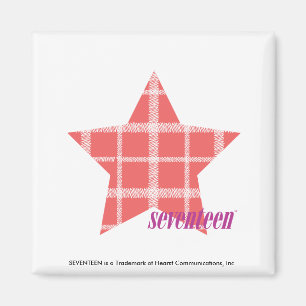 Karierte Farbe 3 Magnet