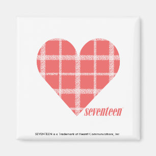 Karierte Farbe 4 Magnet