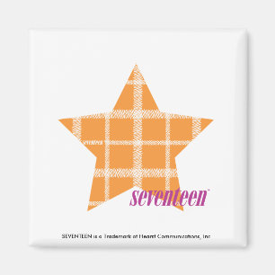 Karierte Orange 2 Magnet
