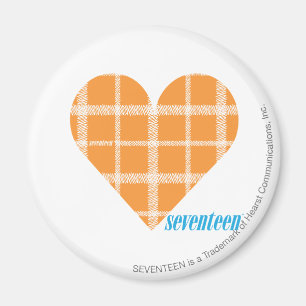 Karierte Orange 4 Magnet