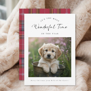Karierter Hund liebt Weihnachtskarten Feiertagskarte