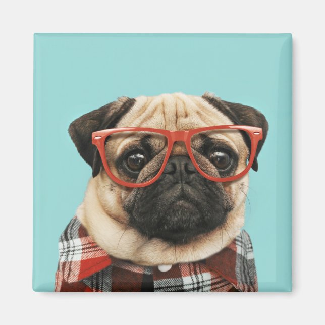 Karierter Shirt Mops Magnet (Vorne)