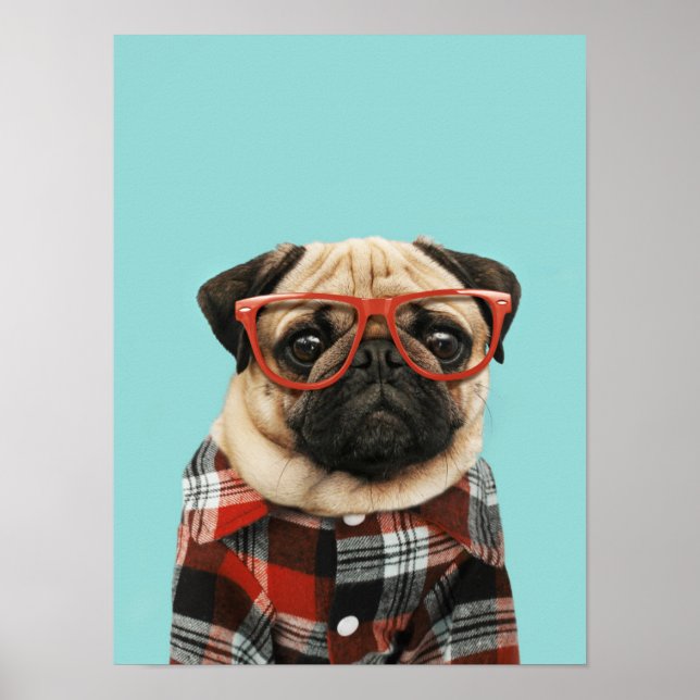 Karierter Shirt Mops Poster (Vorne)