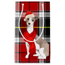 Karierter und italienischer Greyhound Weihnachtshu Kleine Geschenktüte