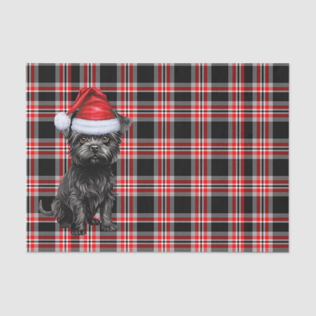 Karierter Weihnachtsfeiertag Affenpinscher Hund Ur Seidenpapier (Vorderseite)