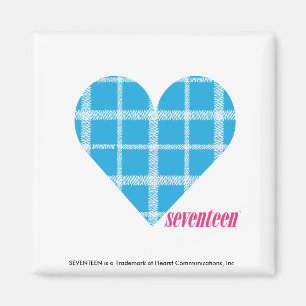 Kariertes Aqua 2 Magnet